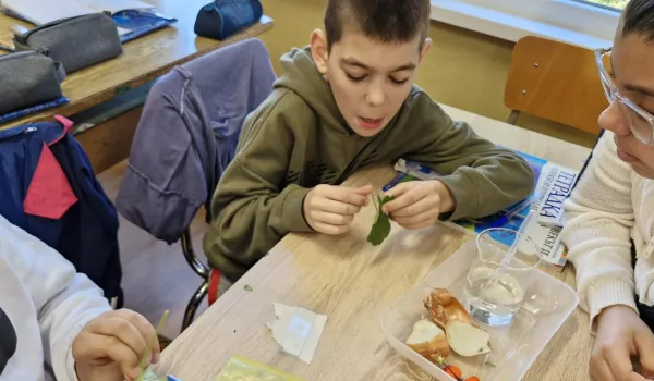 Изображение за Лабораторен урок по Човекът и природата