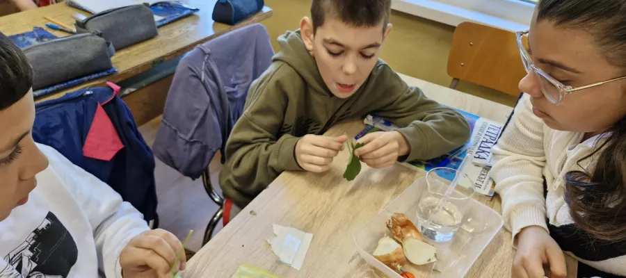 Основно изображение за Лабораторен урок по Човекът и природата