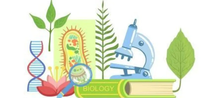 Основно изображение за ГОРДОСТ ЗА ЗАИМОВЦИ
