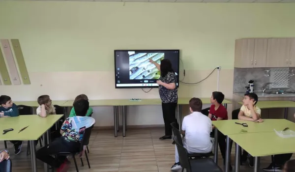 Изображение за ПРИЕМСТВЕНОСТ МЕЖДУ КЛАСОВЕТЕ И УЧИТЕЛИТЕ